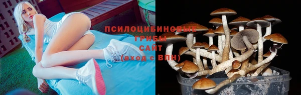 шишки Володарск