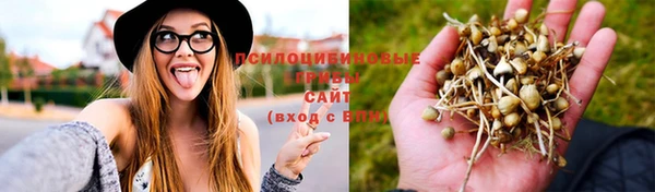 шишки Володарск