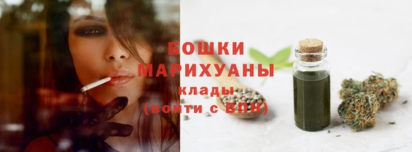 шишки Володарск