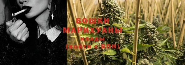 шишки Володарск