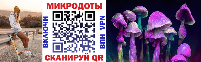 Галлюциногенные грибы прущие грибы  цены   Новоржев 