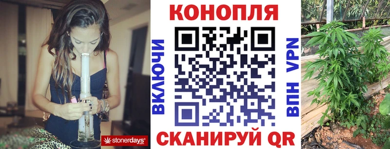 что такое наркотик  Новоржев  Конопля сатива 